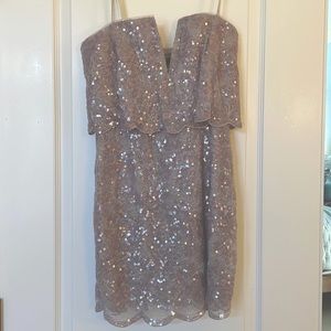 BCBG Iced Liliac sequin cocktail dress